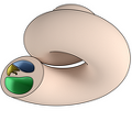 Cochlea 01