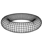 Torus